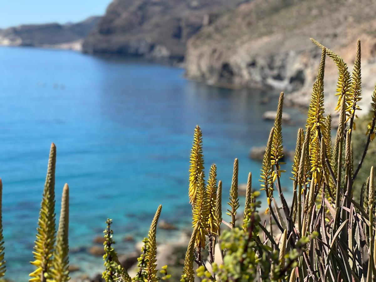 Apartamento De 3 Dormitorios A 60 M De La Playa En La Isleta, Cabo De Gata 라 이슬레타 델 모로 외부 사진